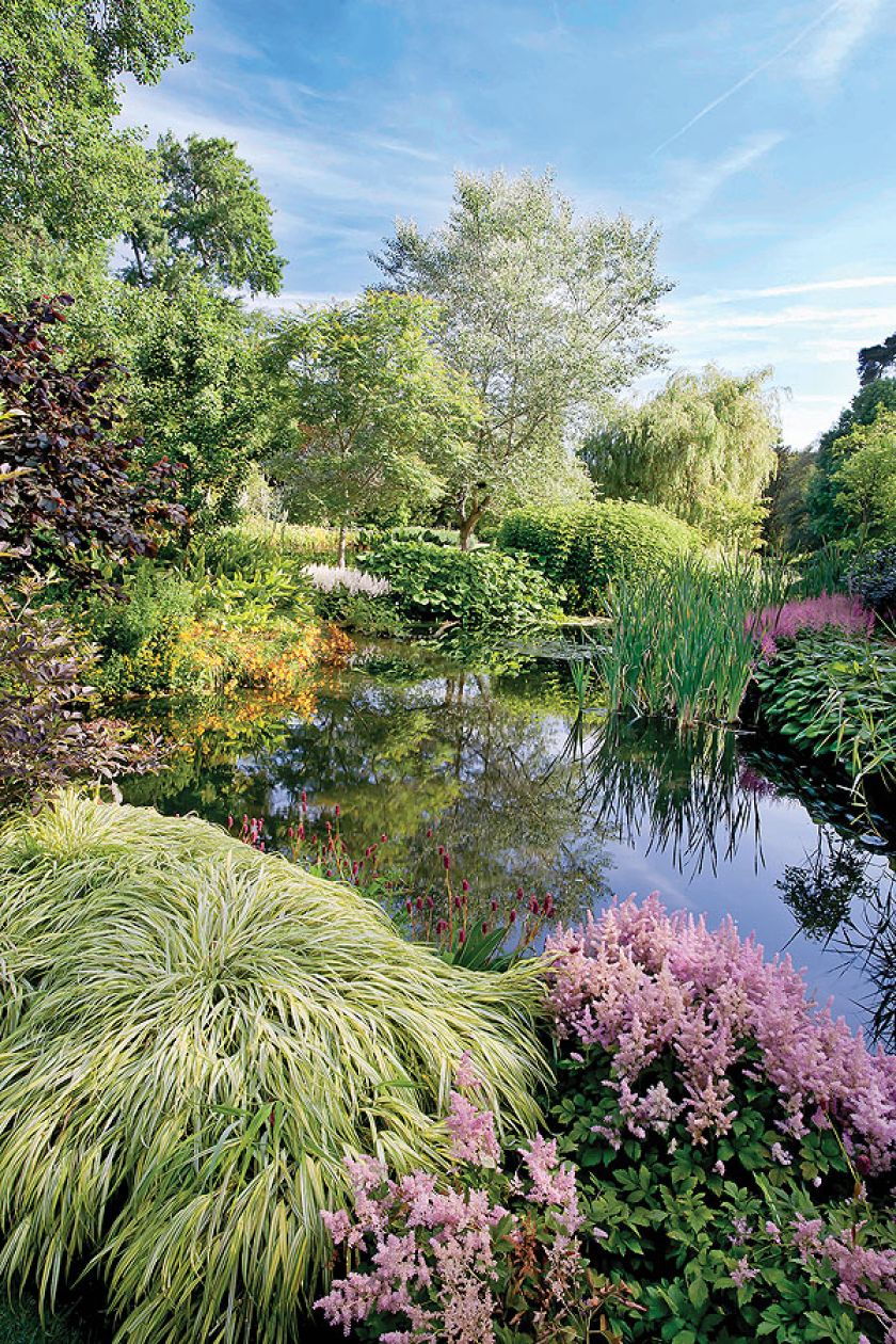 Trawa ta, posadzona w pełnym słońcu, przebarwia się ze złocistej na czerwoną.