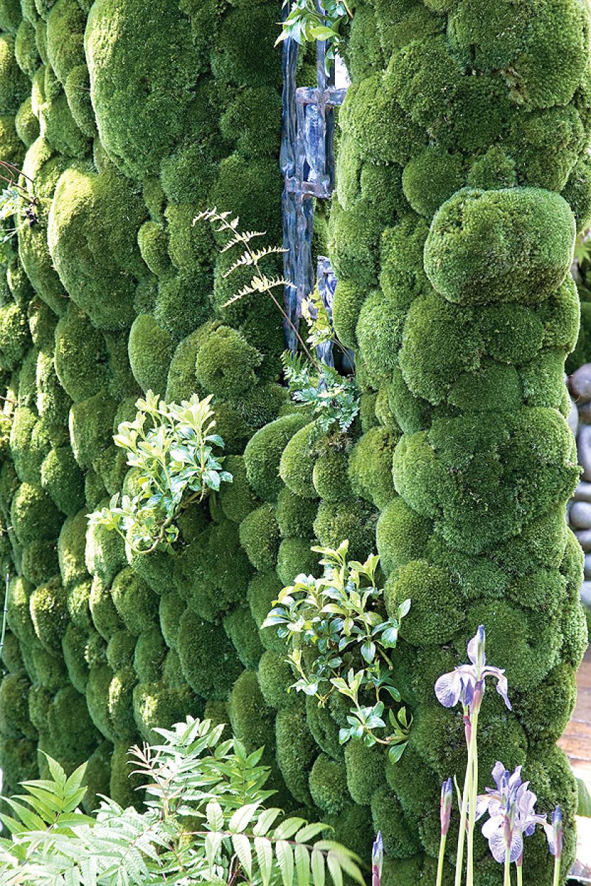 W pionowych ogrodach świetnie wyglądają mchy, rumianki i paprocie.