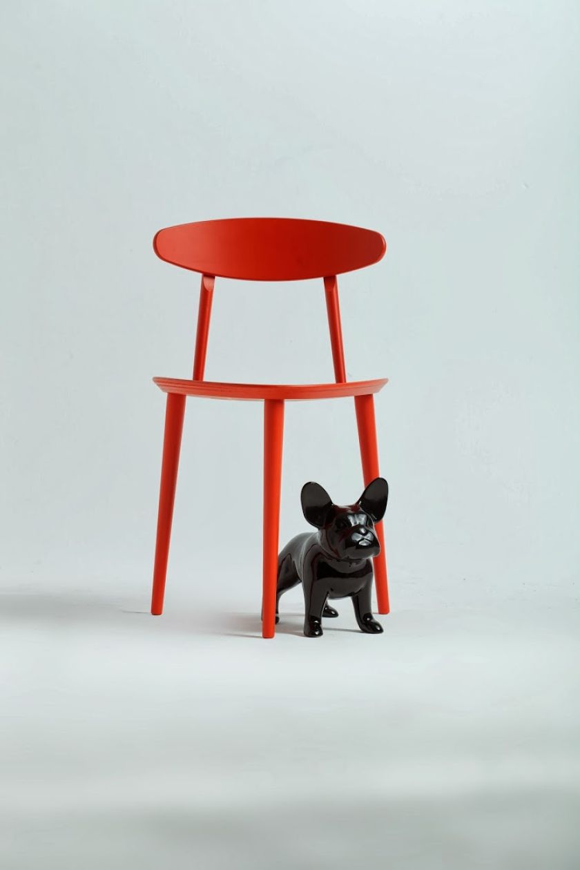 Z miłości do buldożka francuskiego