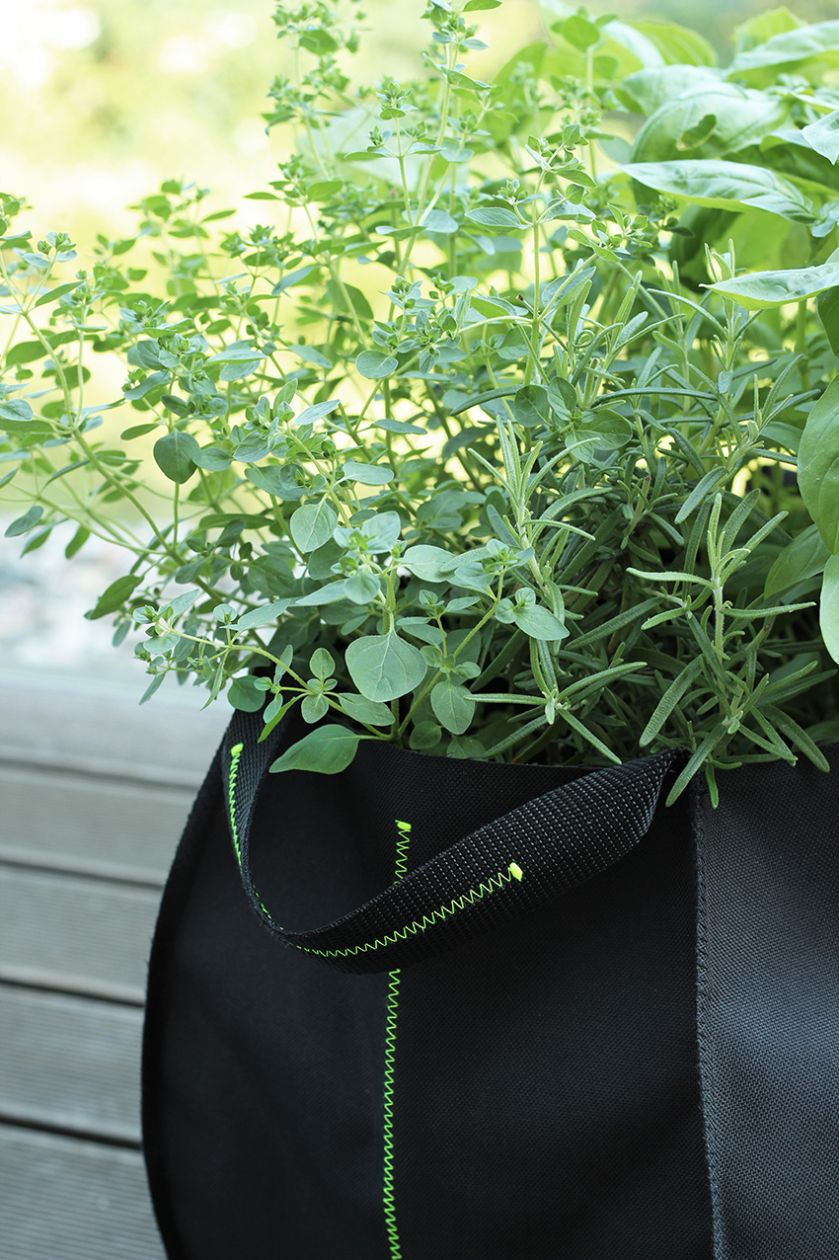 Zielnik Witamina D zrobiono z damskiej torby. Taką praktyczną dekorację można zrobić także w domu.MyBaze.com