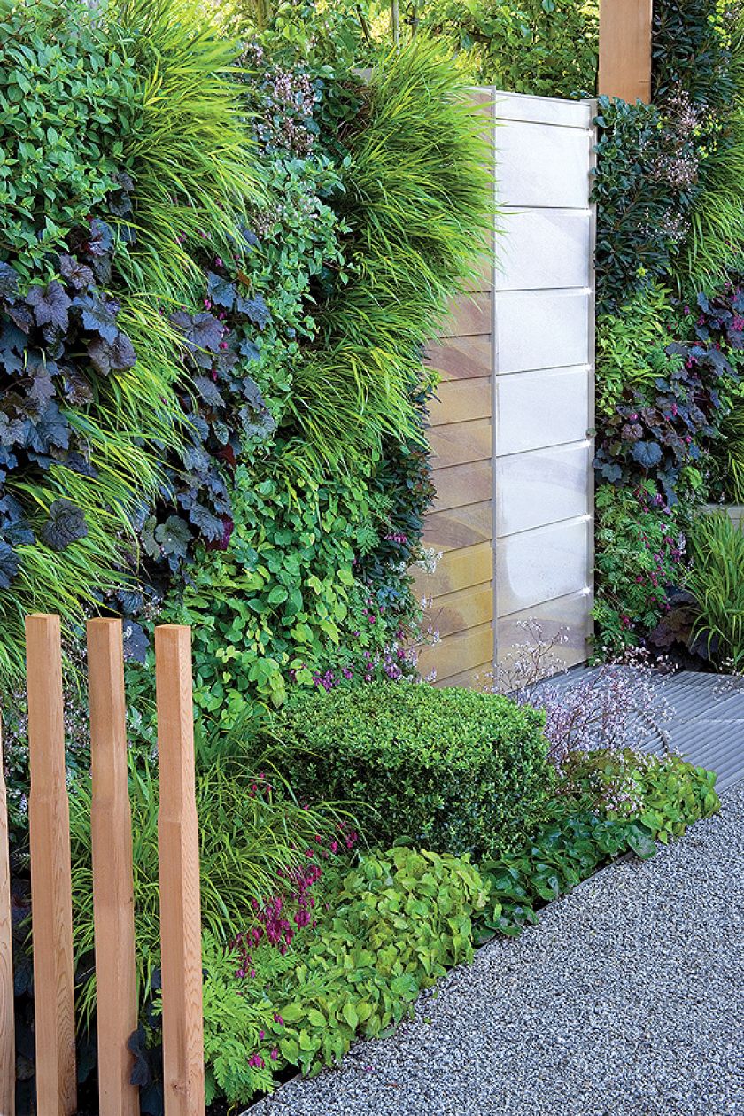 Żyjąca ściana z trawy i bluszczu. Ogród na ścianie