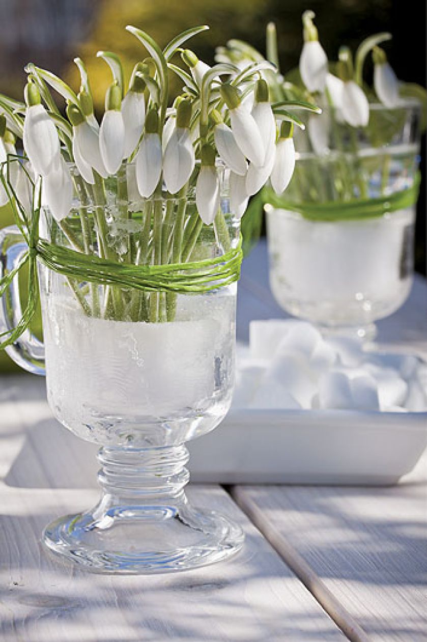 A gdyby tak zamiast tortu ułożyć na paterze wianek z bzów, niezapominajek i poziomek? A w klatce dla kanarka