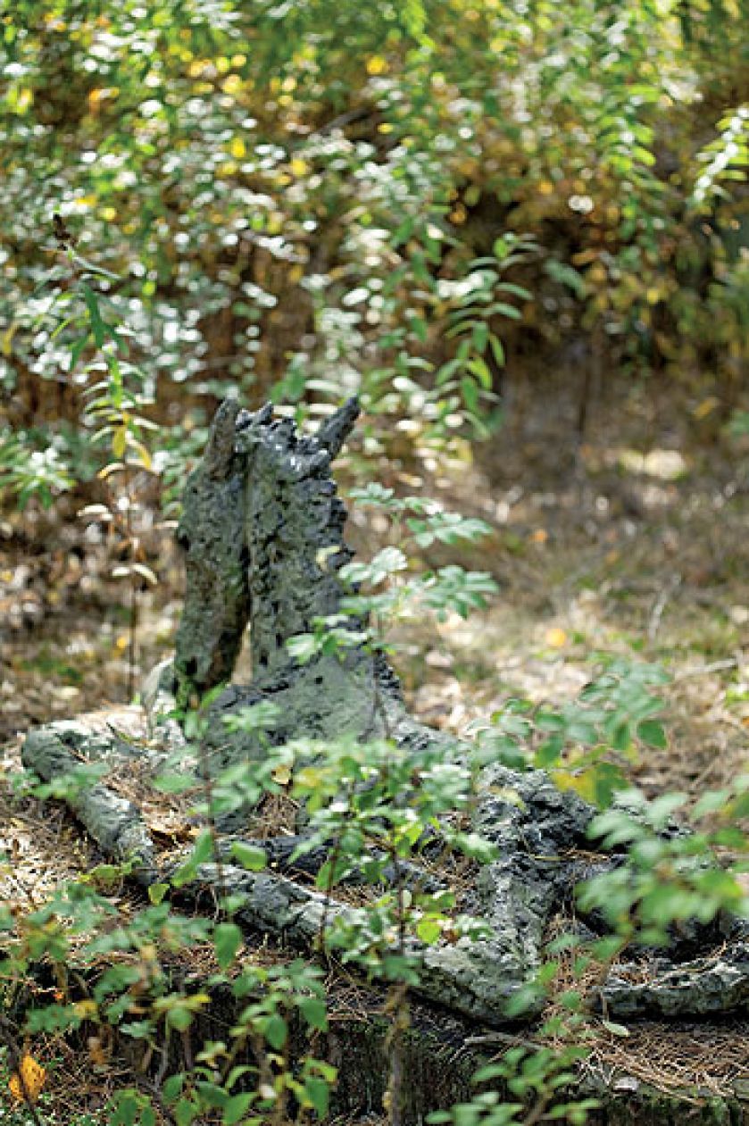 Anna Dębska rzeźbi zwierzęta. Jej drewniany dom stoi w lesie, a pomiędzy drzewami stoi mnóstwo rzeźb.