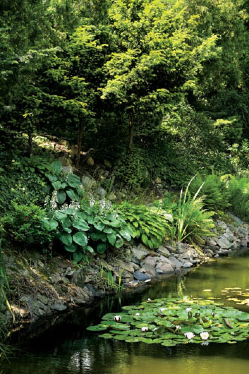 Brzegi porastają hosty i paprocie. Z romantycznym jeziorkiem