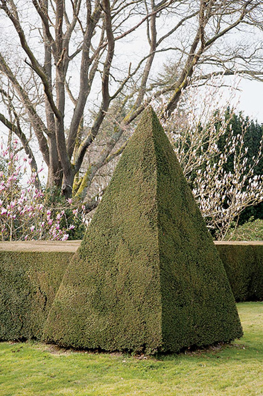 Cisowy żywopłot wyznacza granicę między dwoma poziomami ogrodu.