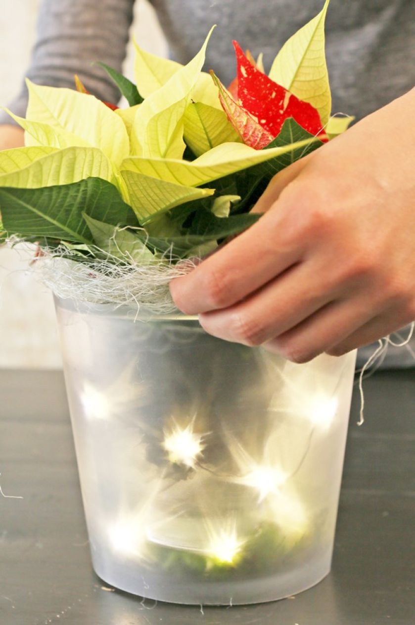 Dekoracje świąteczne DIY – gwiazda betlejemska i ozdoby w wazonach