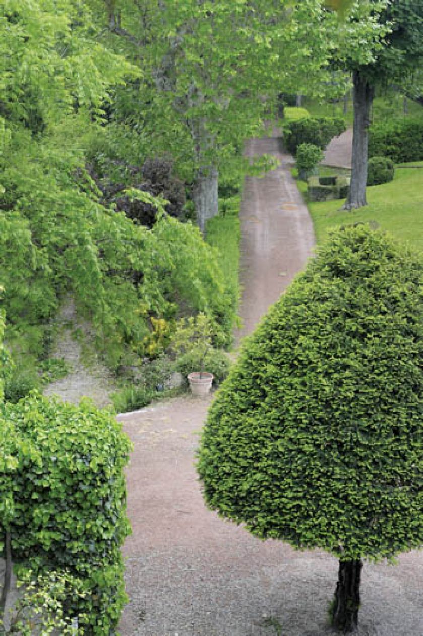 Do domu prowadzi szeroka aleja wysadzana platanami.