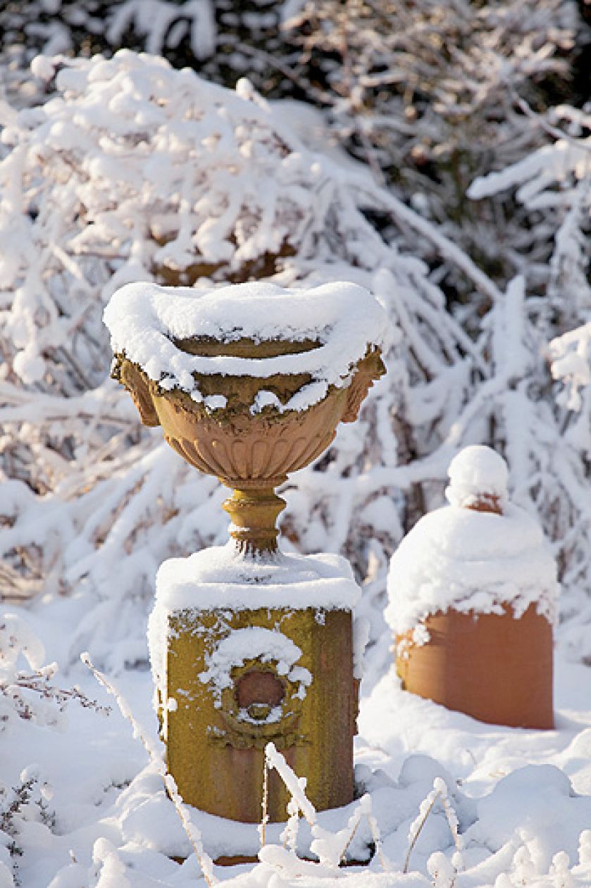 Ogród piękny zimą