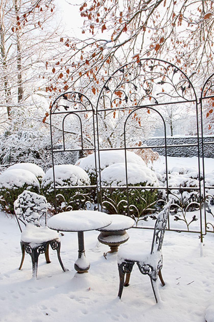 Ogród piękny zimą