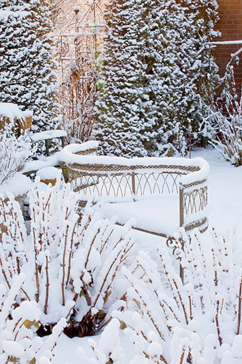 Ogród piękny zimą