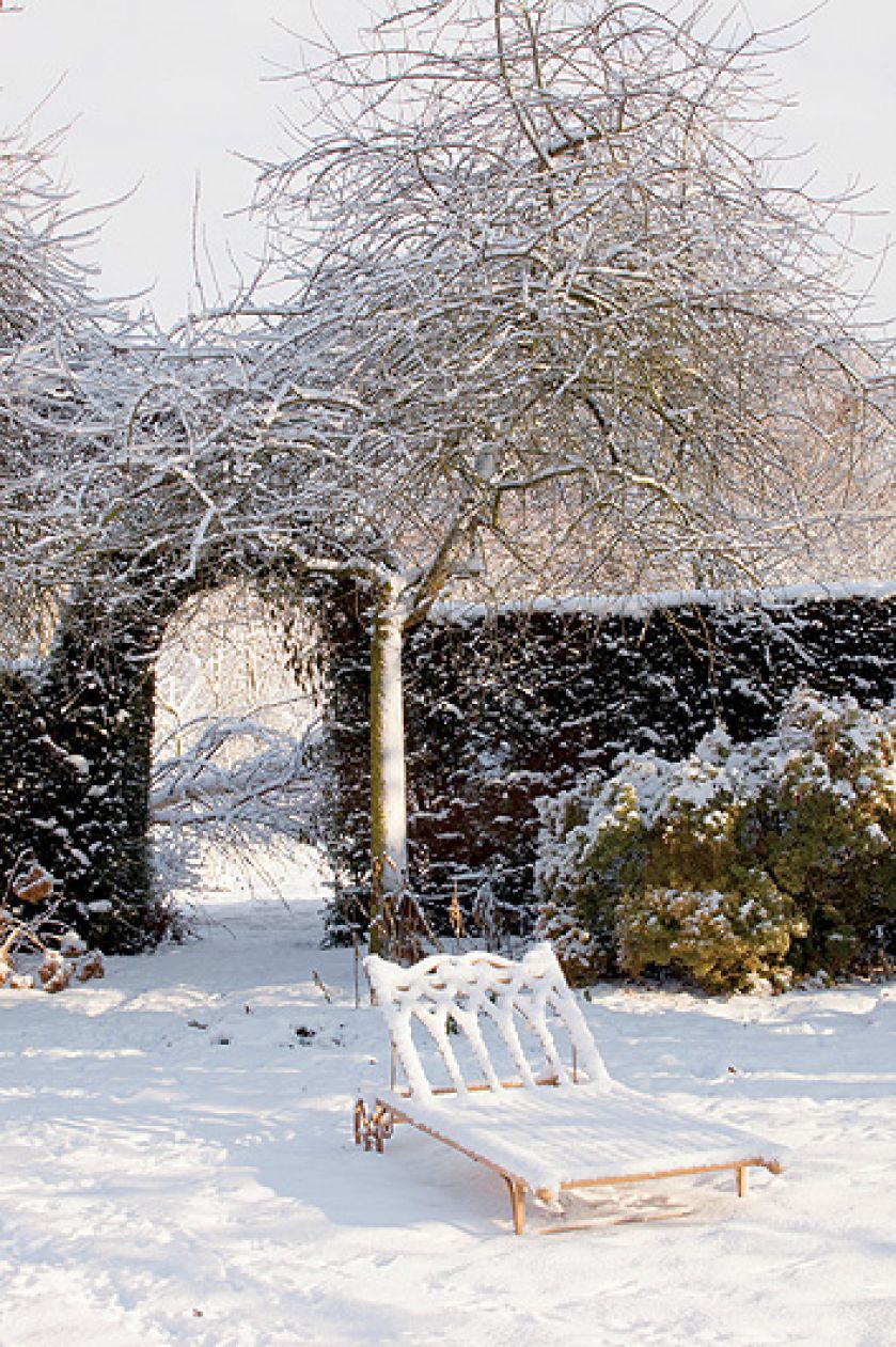 Ogród piękny zimą