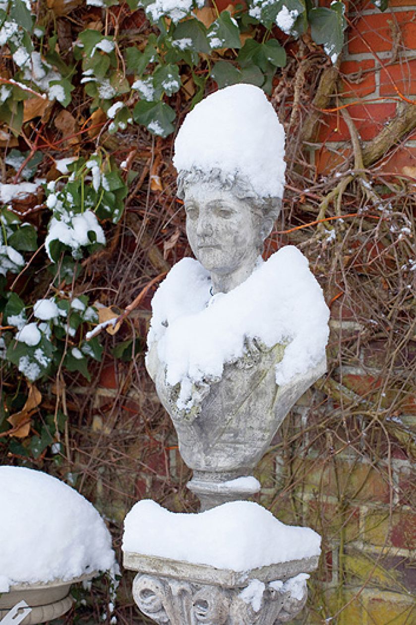 Ogród piękny zimą