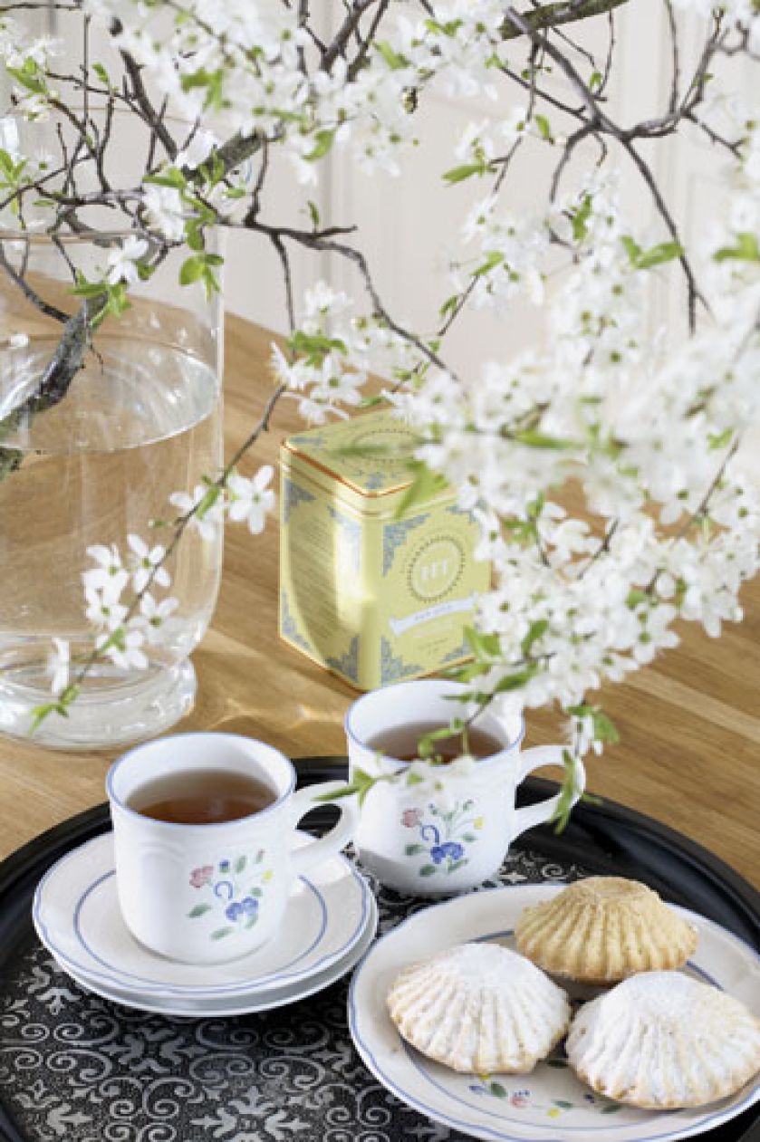 Gospodarze uwielbiają antykwariaty. W kamienicy ze sztuką