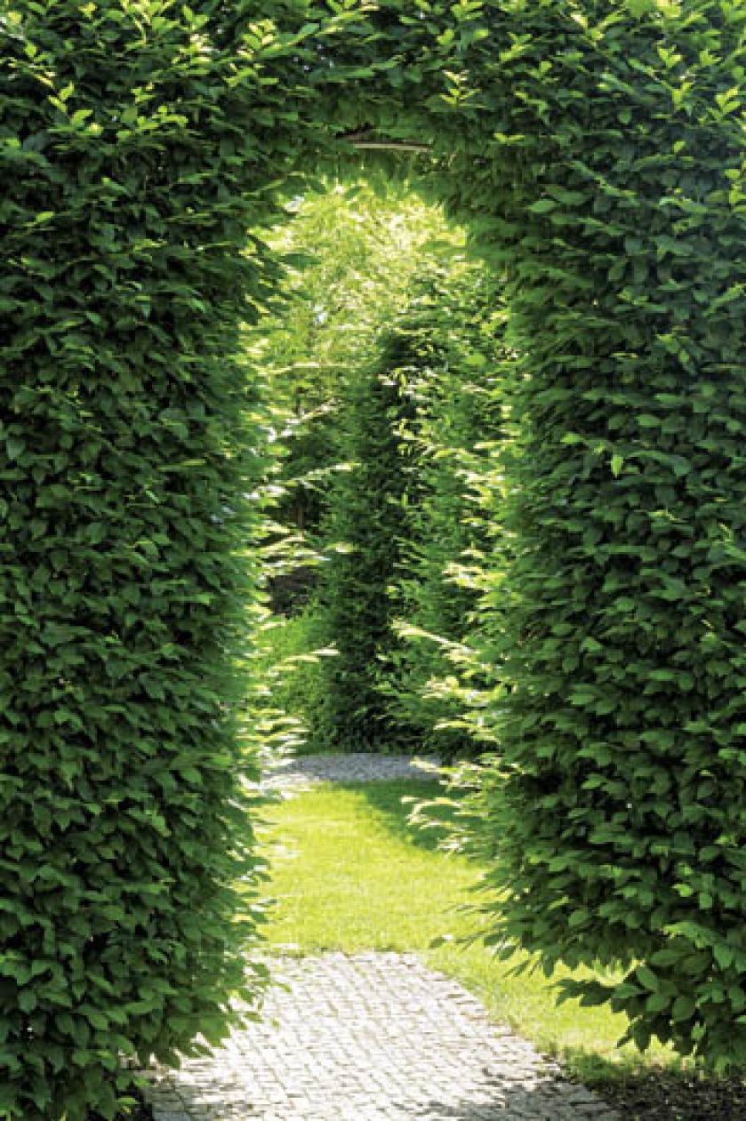 Aranżacja ogrodu nad rzeką