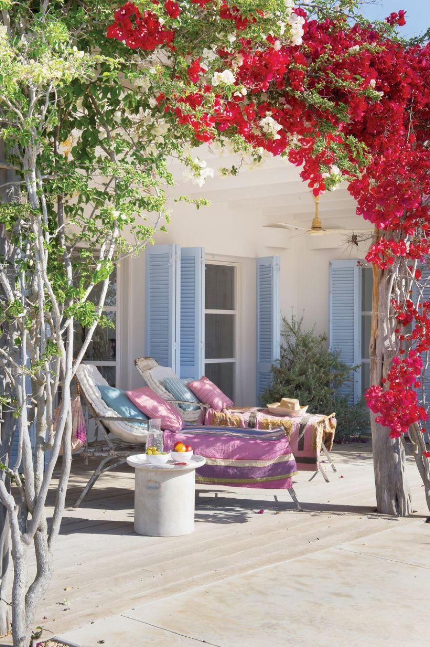 Ariadna całe dnie spędza wdychając zapach rozmarynu rosnącego na zboczach. Werand ma przy domu tyle, że z każdego pokoju