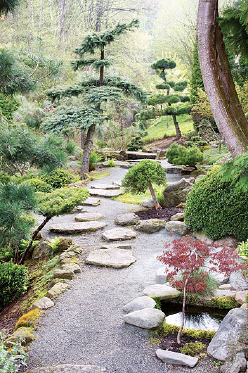 Japoński ogród niedaleko Kudowy-Zdrój. Najpiękniejsze drzewka bonsai w Polsce.
