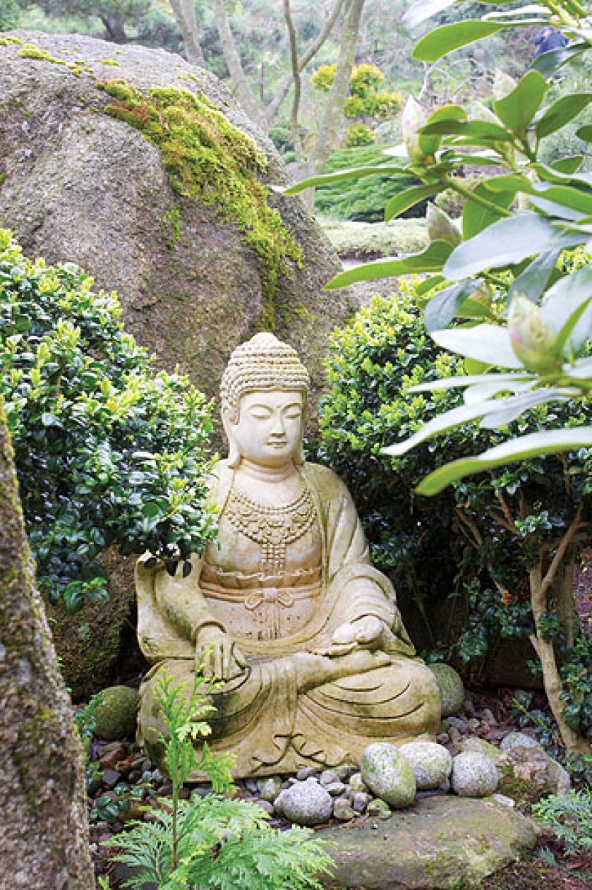 Japoński ogród niedaleko Kudowy-Zdrój. Najpiękniejsze drzewka bonsai w Polsce.