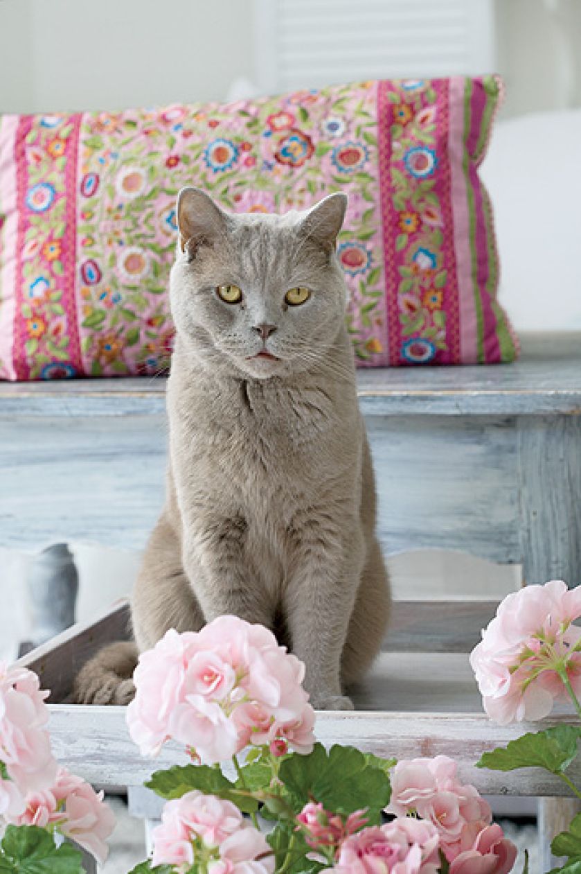 Jasno urządzone wnętrze, z kominkiem, ogromnymi oknami i drewnianym tarasem.