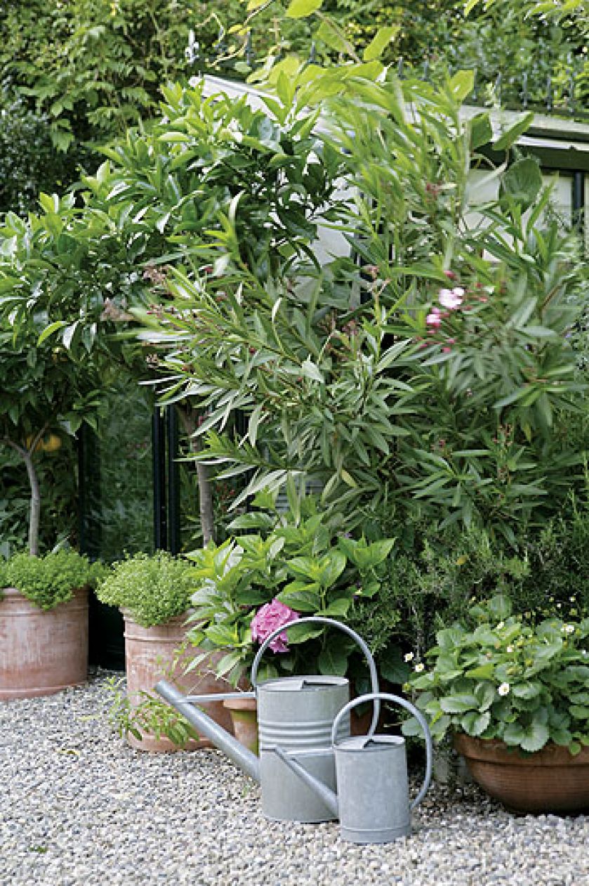 Jeden z wielu uroczych zakątków. Ogród w lesie