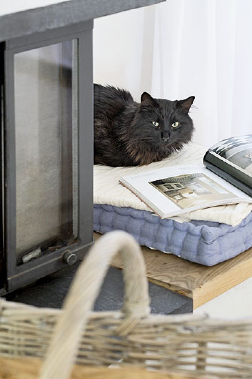 Kanadyjczyk pełen przestrzeni i światła. Rządzi tu styl skandynawski. A kobiecą rękę czuje się od