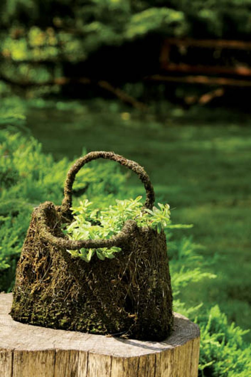 Kosz z drucianej siatki i mchu doskonale sprawdza się jako ogrodowa donica.