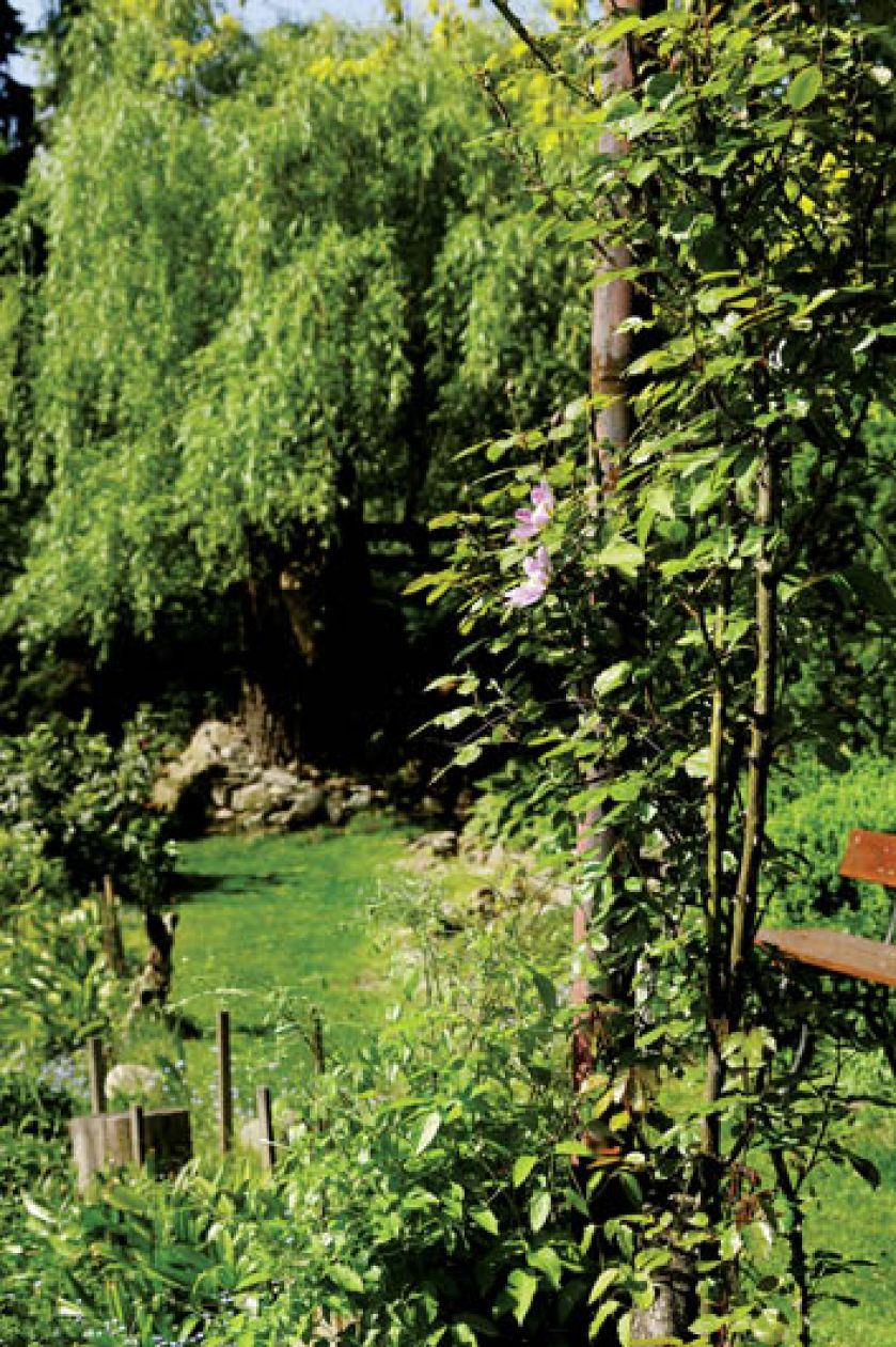 Kącik wypoczynkowy w ogrodzie