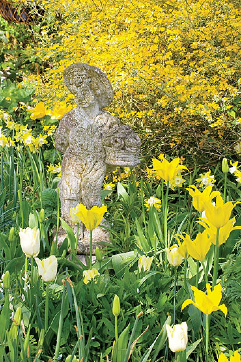 Nastrojwy zakątek. Tulipany wśród bukszpanów