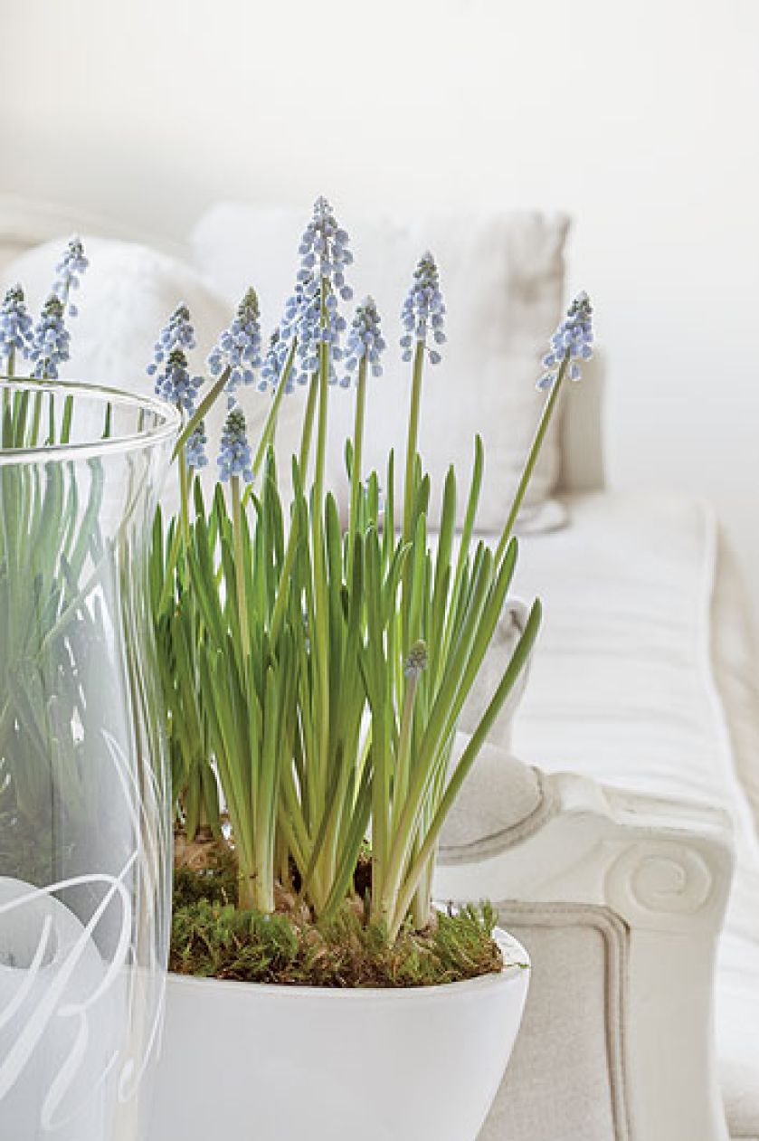 Nawet z dwójką dzieci i rozbrykanym terrierem można żyć w domu pełnym białych kanap, dywanów i szaf.