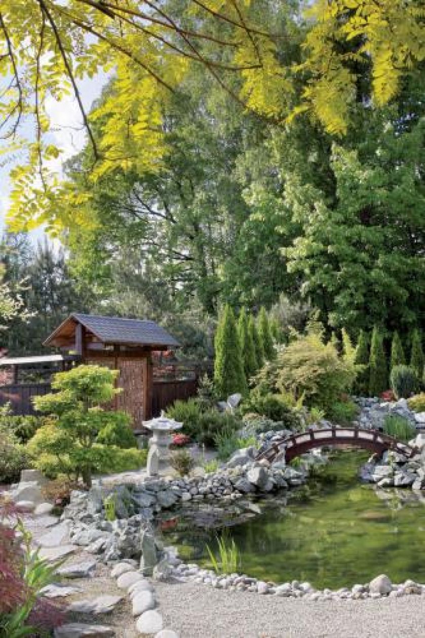 Oczko wodne otoczone kamieniami. Japoński ogród w Janowicach