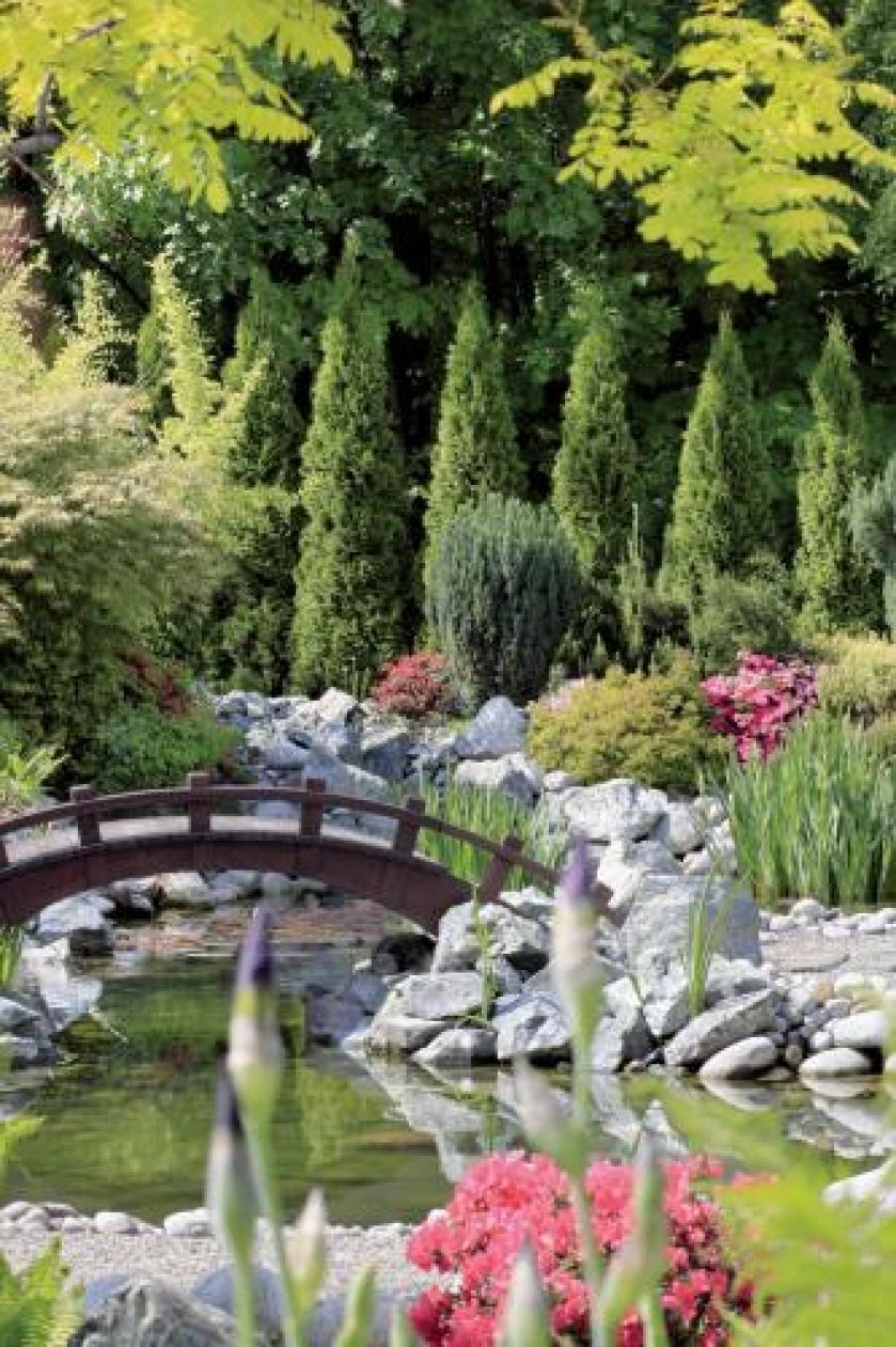 Ogród powstał pod lasem, dzięki czemu wtapia się w otaczającą go przyrodę. To jedna z głównych zasad japońskiej sztuki