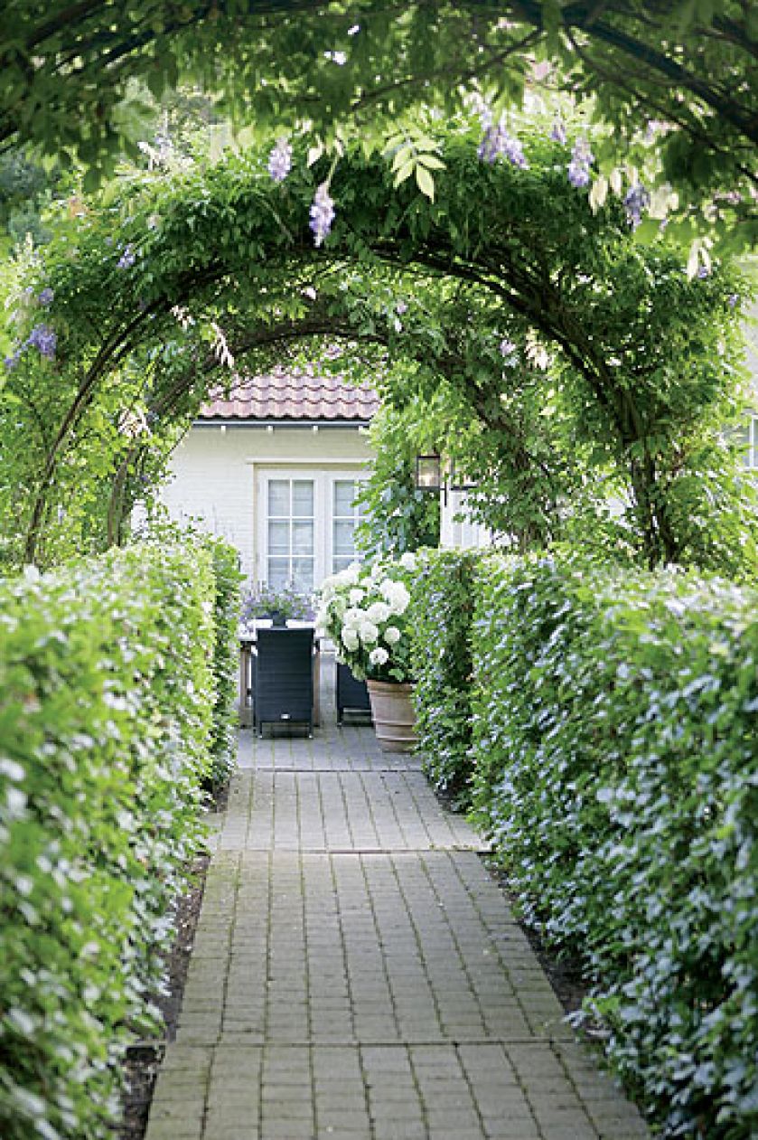 Pergolę oplotła glicynia, roślina typowa dla wiktoriańskich ogrodów