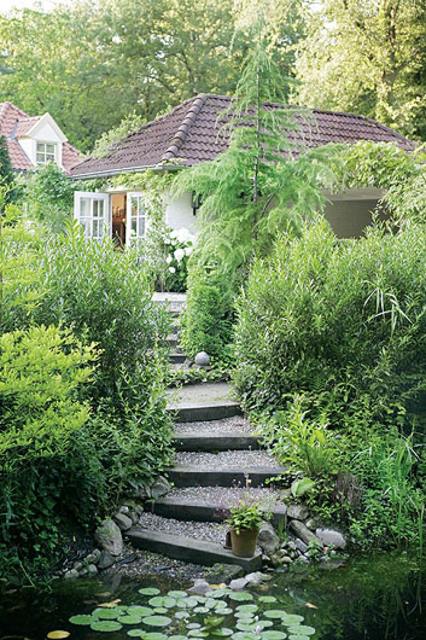 Przy schodach prowadzących do stawiku rośnie młody modrzew i rózne odmiany wierzby