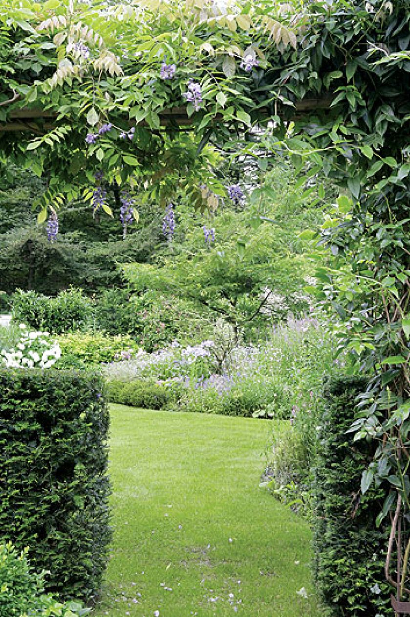 Rośliny, które nie potrzebują zbyt dużo słońca