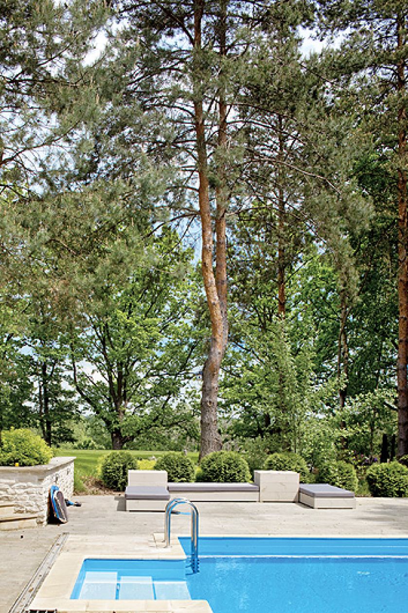 Rzeczka, która regularnie zalewa okoliczne łąki, ich traktuje po przyjacielsku i nie podmywa skarpy, a gdy woda zamarza na