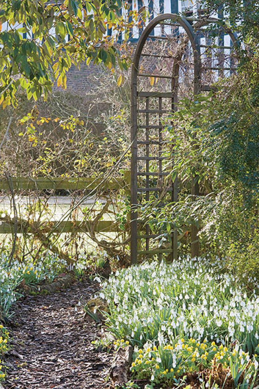 Ścieżki wyłożone sa korą albo wysypane żwirem.