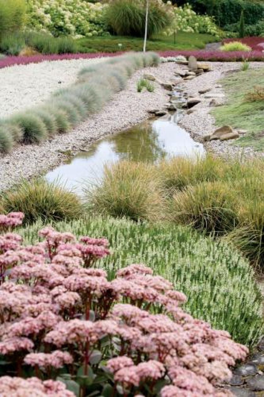 Strumień na wrzosowisku. Wrzosowisko na tarasach