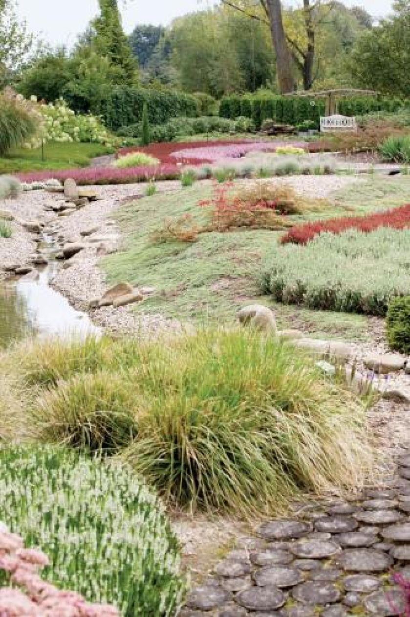 Strumień w ogrodzie. Wrzosowisko na tarasach