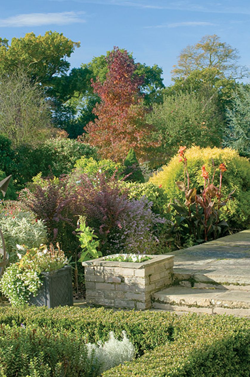 Tłem dla krzewów stały się majestatyczne drzewa, które jesienią przebarwiają się na milion kolorów.