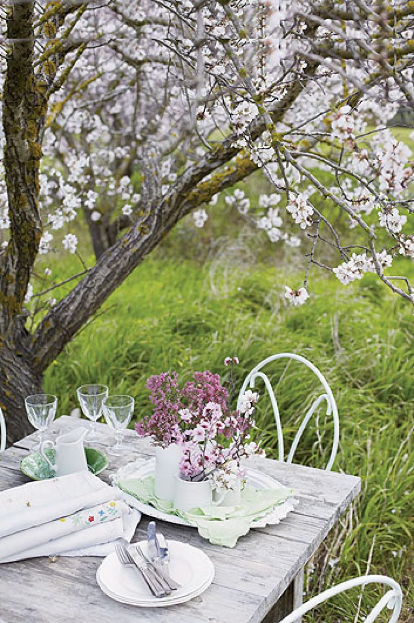 Wiosenne przepisy. Wiosenne przepisy