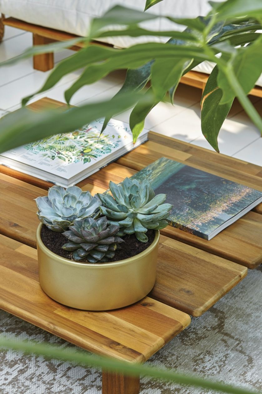 styl modern classic oranżeria