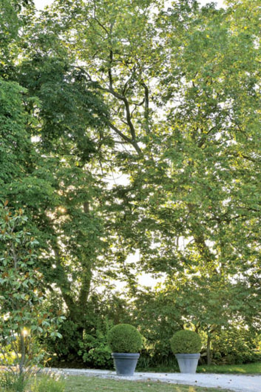 Wokół domu pełno jest urokliwych zakątków.