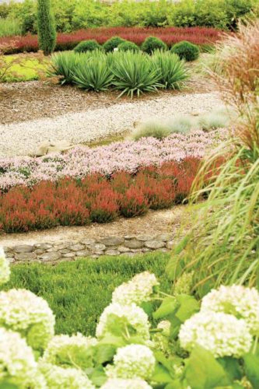 Wrzosowisko na tarasach