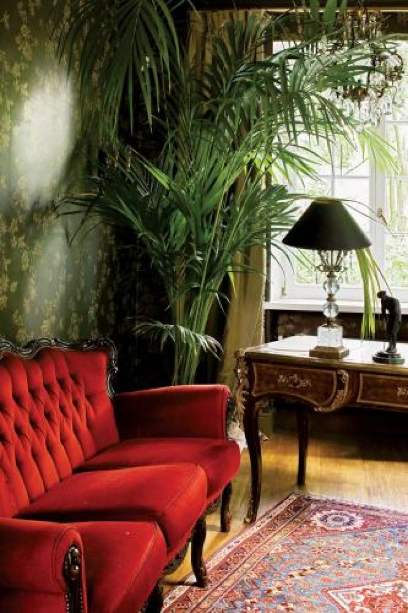 Zielona tapeta z roślinnym motywem jest tłem dla wielkich palm.