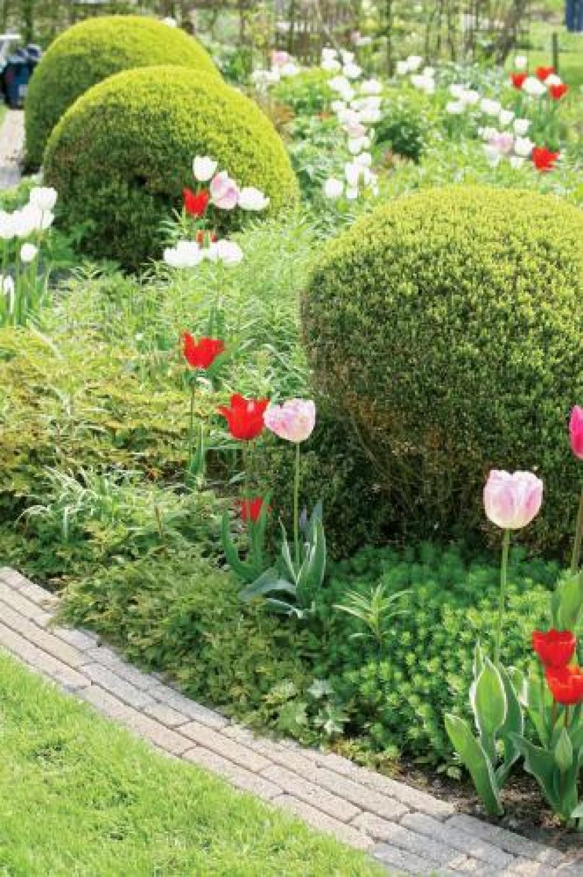Holenderski ogród w stylu francuskim