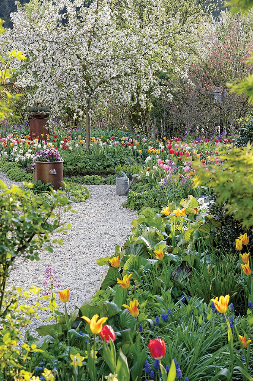 Wiosenne kwiaty w ogrodzie – kiedy je sadzić i jak je uprawiać? Zdecydować się na cebulki czy nasiona?