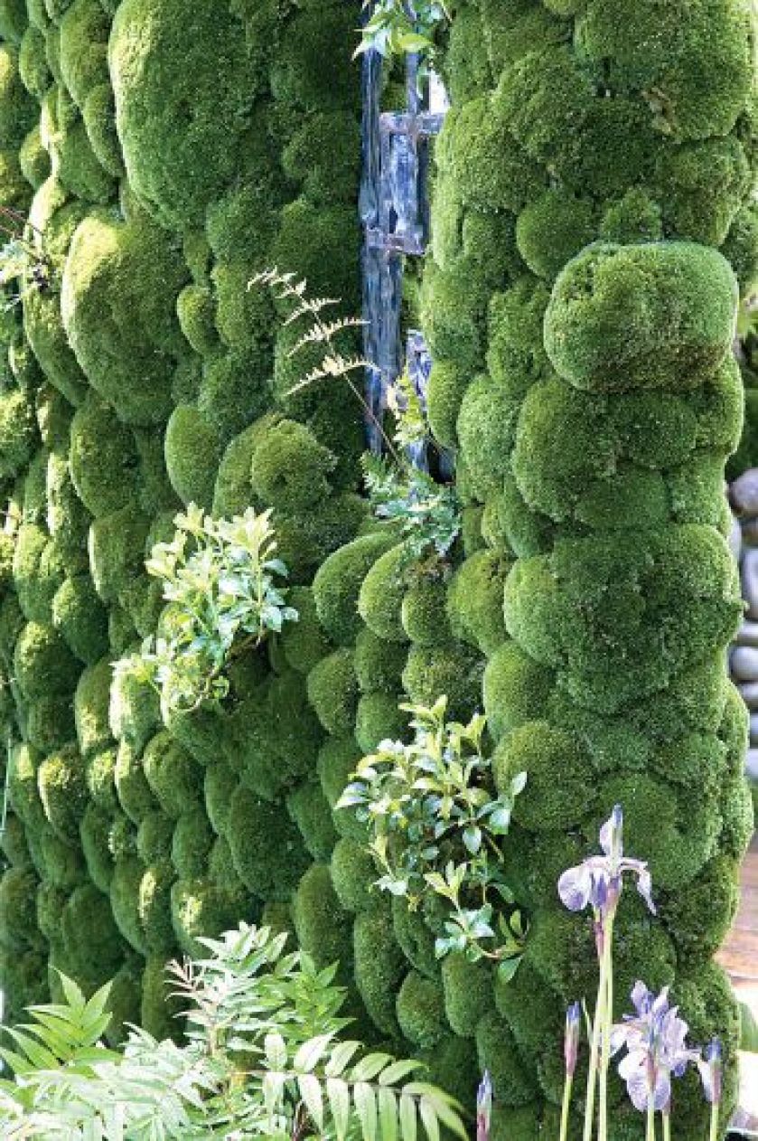 Wiosenne kwiaty w ogrodzie