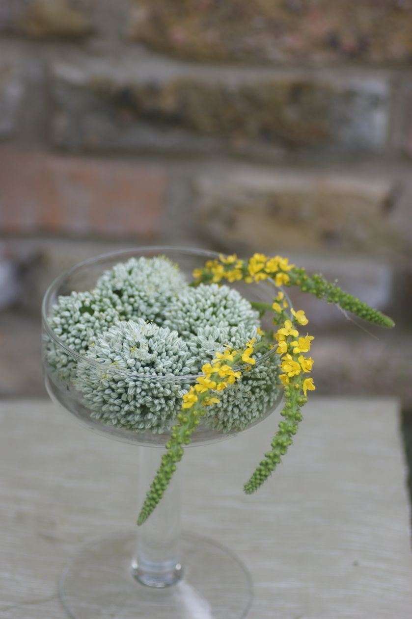 Aranżacja wnętrz zielenią