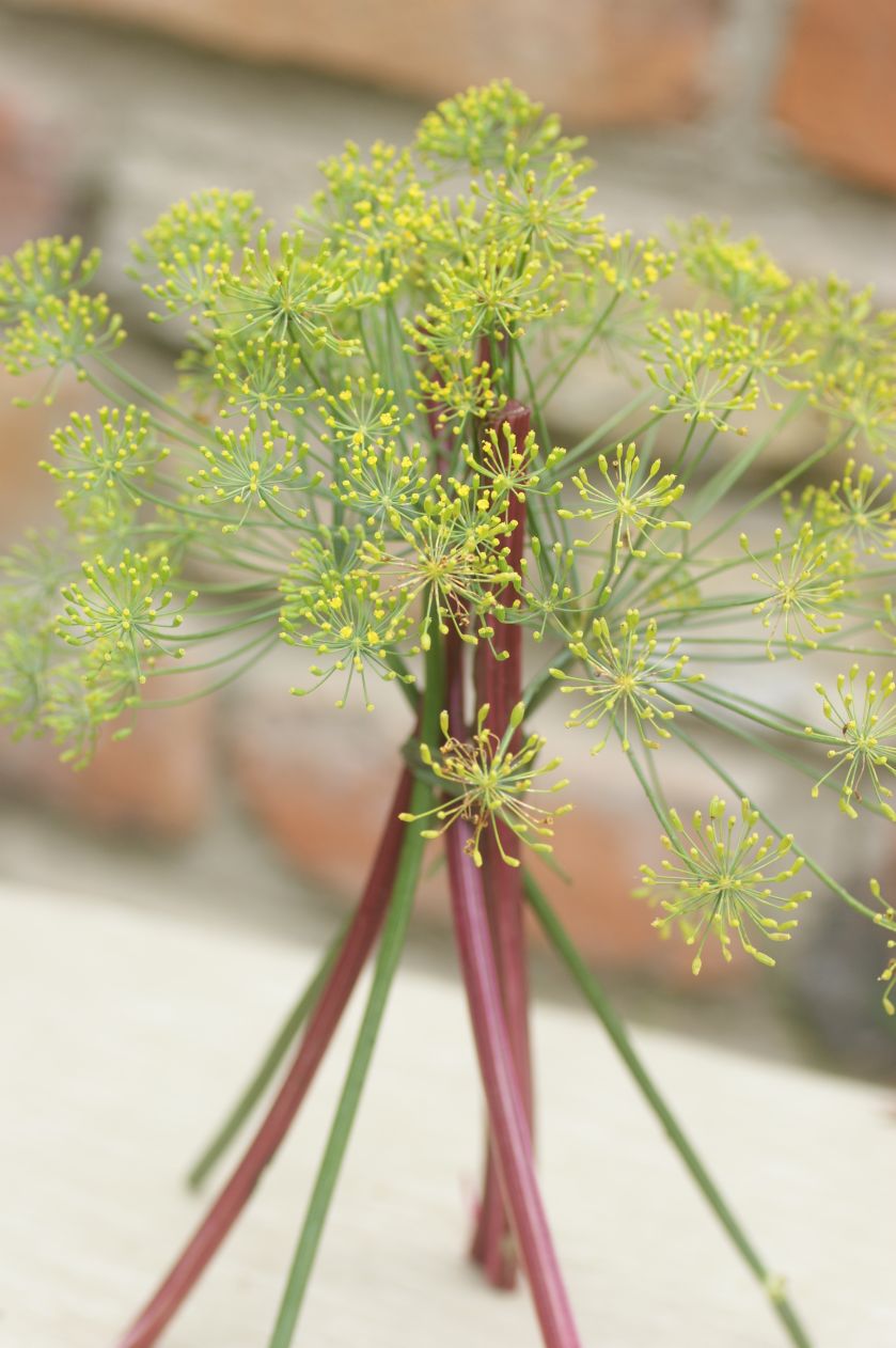 Aranżacja wnętrz zielenią