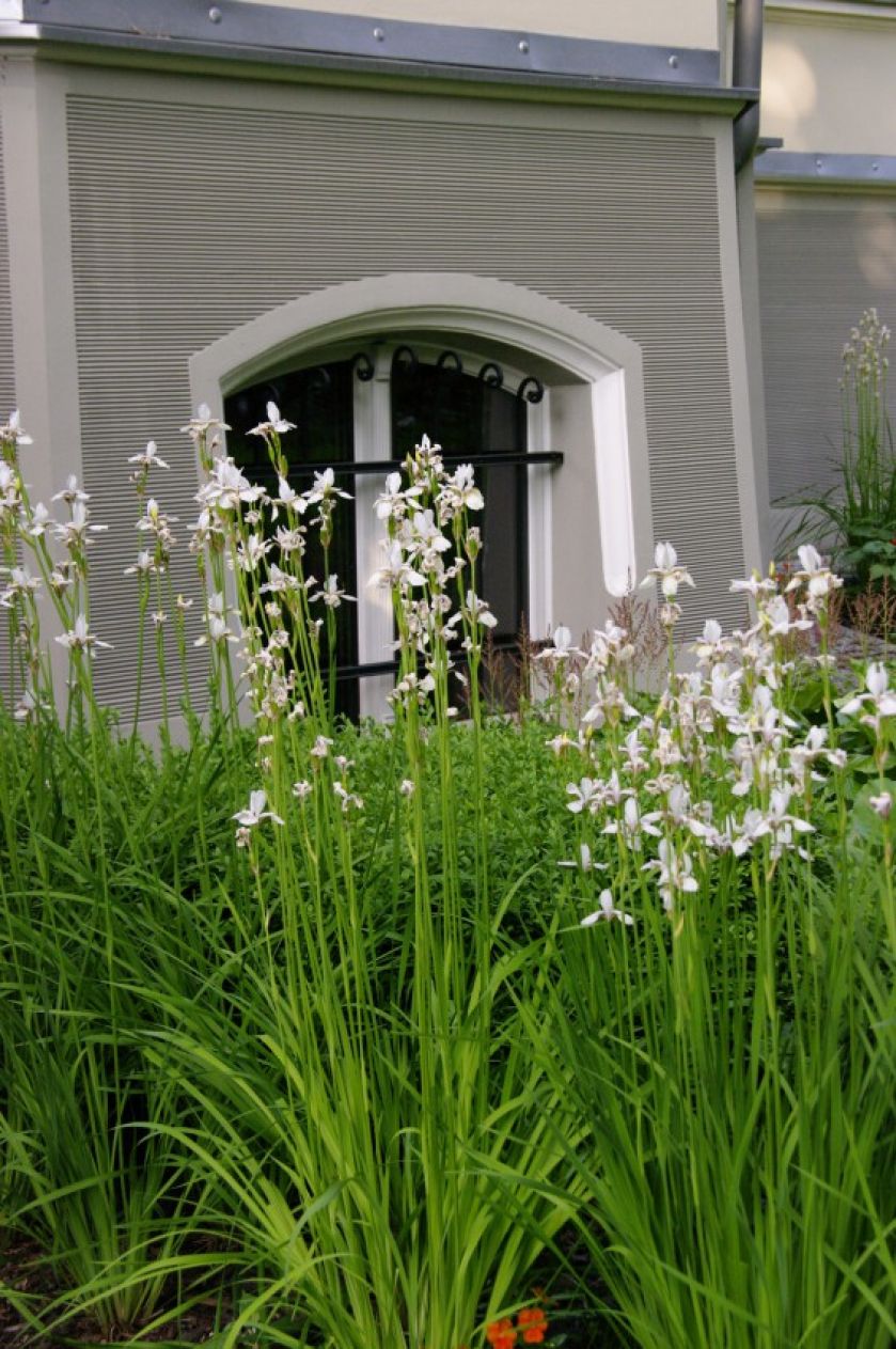 Ogród przy zabytkowej willi w Gdańsku