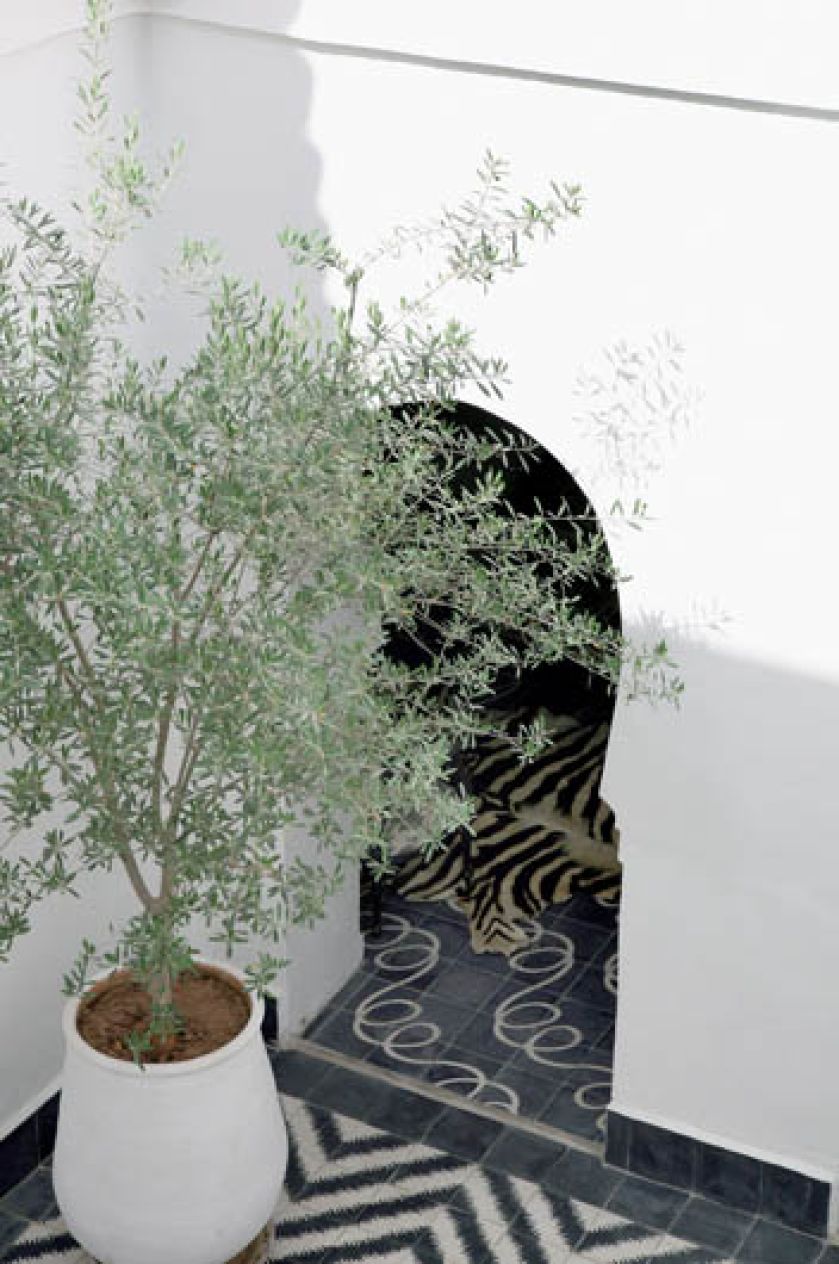 Dziedziniec przez cały dzień tonie w słońcu.